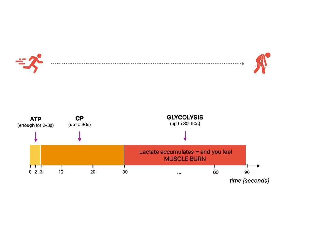 Anaerobic Energy Systems during HIIT